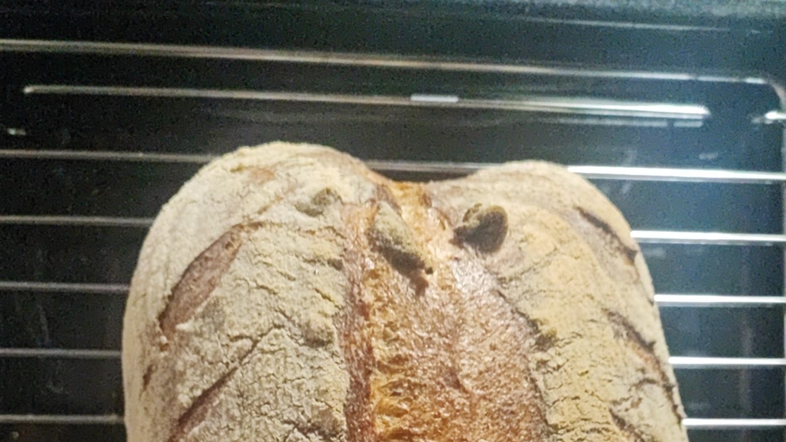 Finished fruit sourdough loaf from a scaled recipe