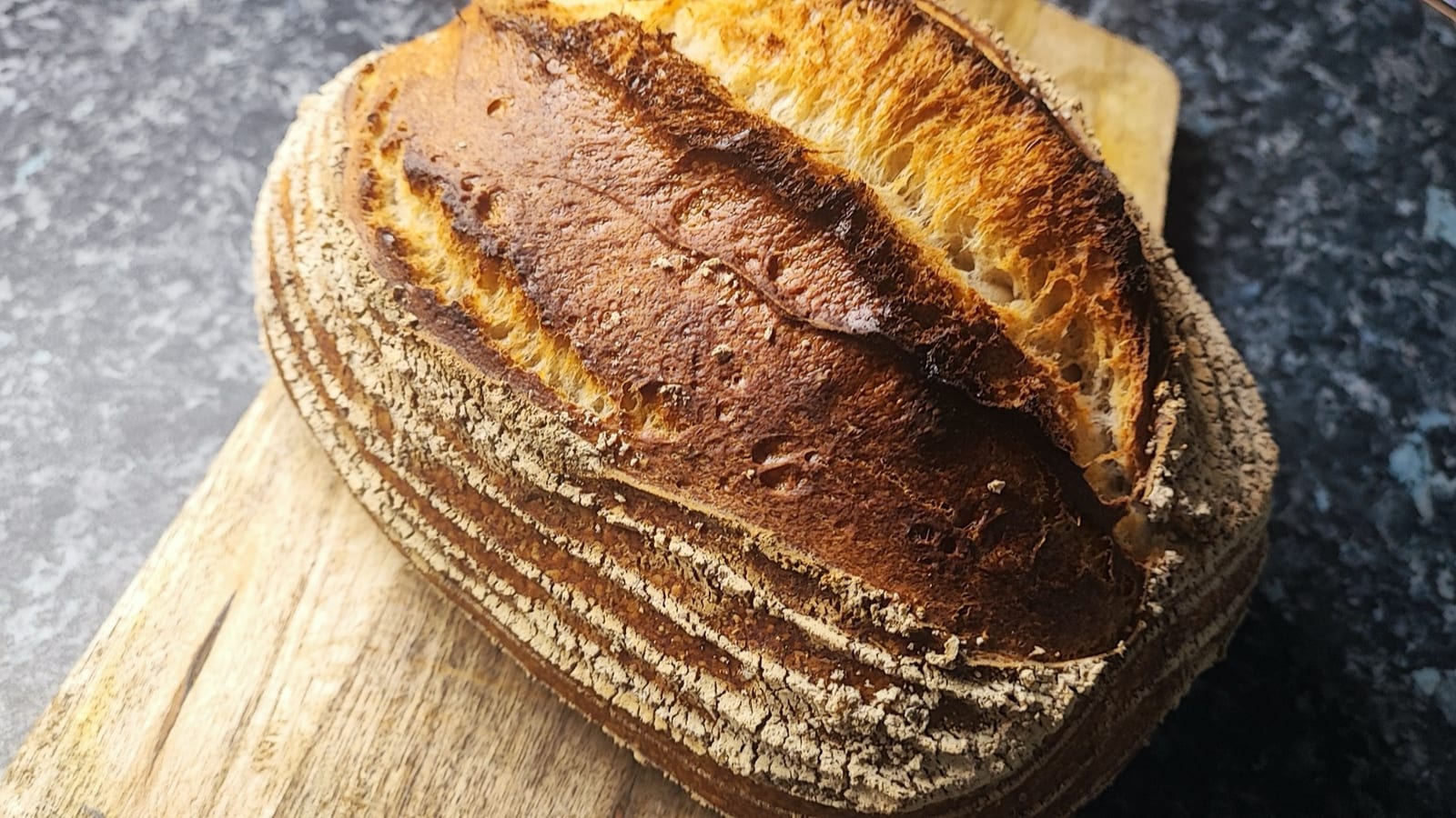 Finished sourdough loaf cooling after temperature-aware fermentation